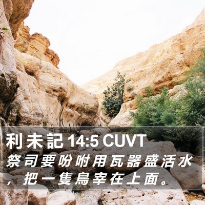 利 未 記 14:5 CUVT Bible Verse Image
