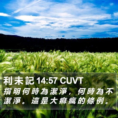 利 未 記 14:57 CUVT Bible Verse Image