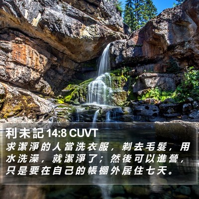 利 未 記 14:8 CUVT Bible Verse Image