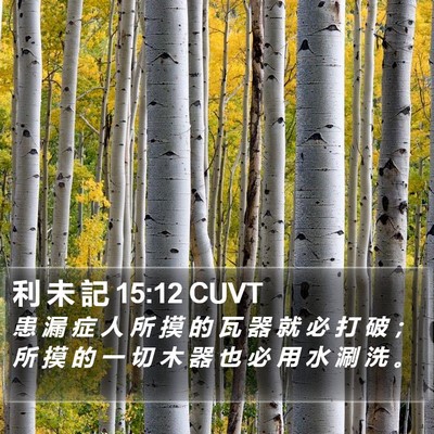 利 未 記 15:12 CUVT Bible Verse Image