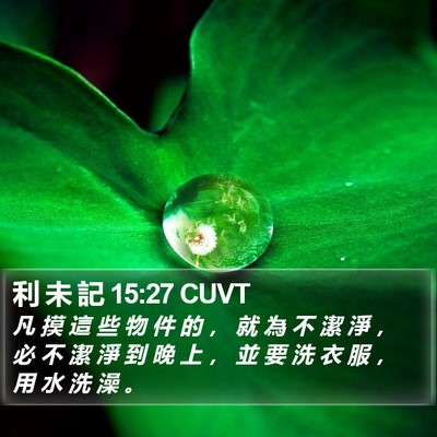 利 未 記 15:27 CUVT Bible Verse Image