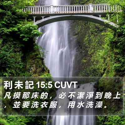 利 未 記 15:5 CUVT Bible Verse Image