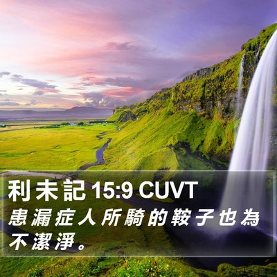 利 未 記 15:9 CUVT Bible Verse Image