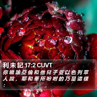 利 未 記 17:2 CUVT Bible Verse Image