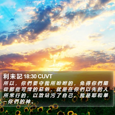 利 未 記 18:30 CUVT Bible Verse Image