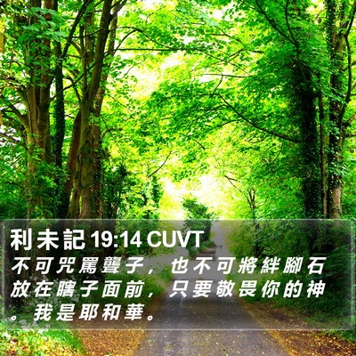 利 未 記 19:14 CUVT Bible Verse Image