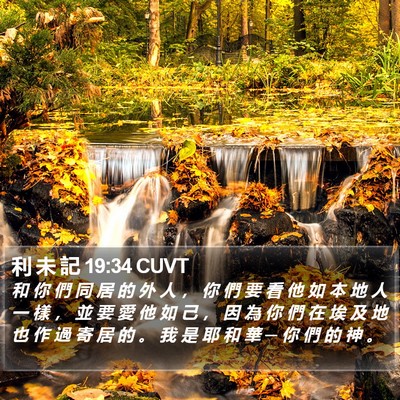 利 未 記 19:34 CUVT Bible Verse Image