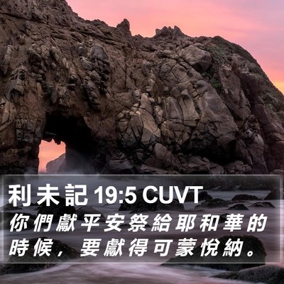 利 未 記 19:5 CUVT Bible Verse Image