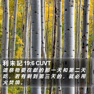 利 未 記 19:6 CUVT Bible Verse Image