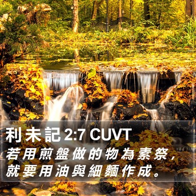 利 未 記 2:7 CUVT Bible Verse Image