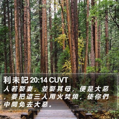 利 未 記 20:14 CUVT Bible Verse Image