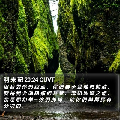 利 未 記 20:24 CUVT Bible Verse Image