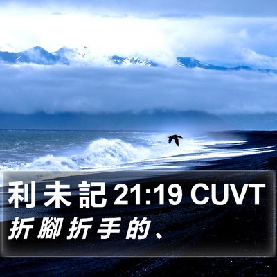 利 未 記 21:19 CUVT Bible Verse Image