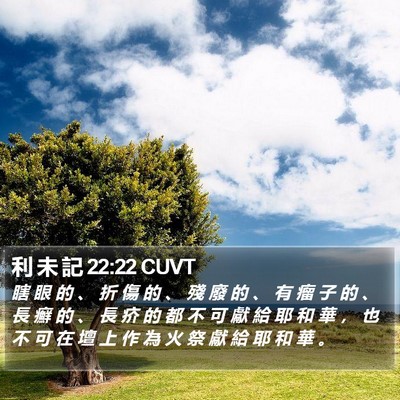 利 未 記 22:22 CUVT Bible Verse Image