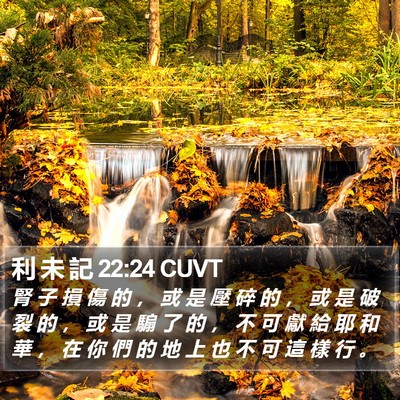 利 未 記 22:24 CUVT Bible Verse Image