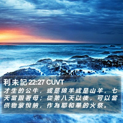 利 未 記 22:27 CUVT Bible Verse Image