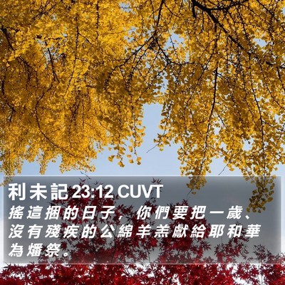 利 未 記 23:12 CUVT Bible Verse Image