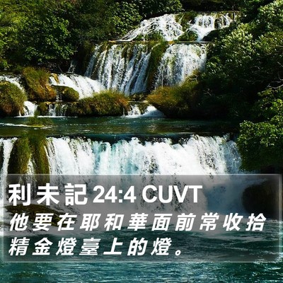 利 未 記 24:4 CUVT Bible Verse Image