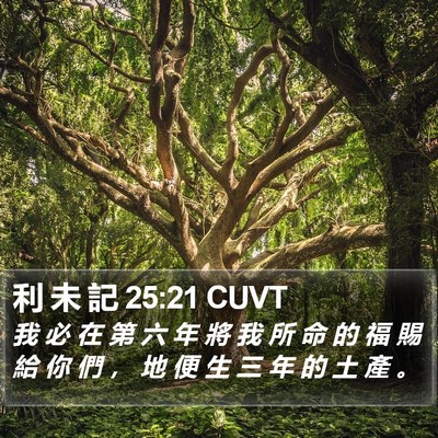利 未 記 25:21 CUVT Bible Verse Image