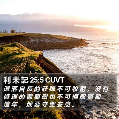利 未 記 25:5 CUVT Bible Verse Image