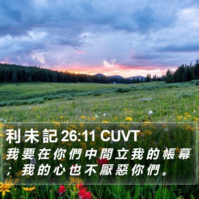 利 未 記 26:11 CUVT Bible Verse Image