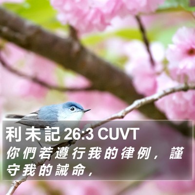 利 未 記 26:3 CUVT Bible Verse Image