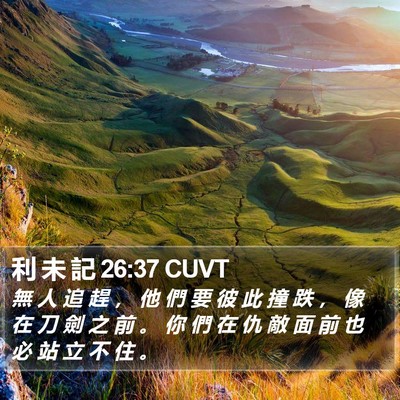 利 未 記 26:37 CUVT Bible Verse Image