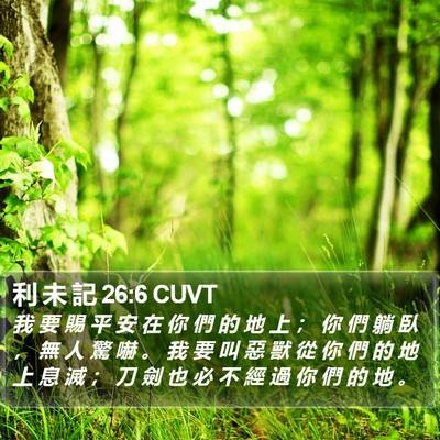 利 未 記 26:6 CUVT Bible Verse Image