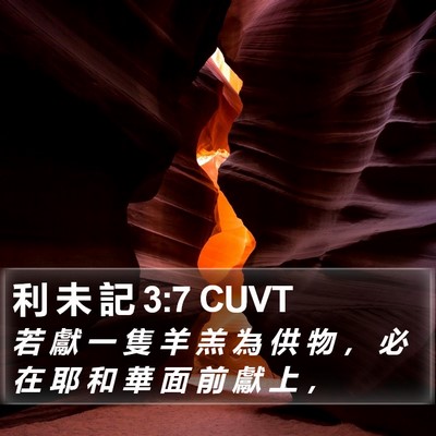 利 未 記 3:7 CUVT Bible Verse Image