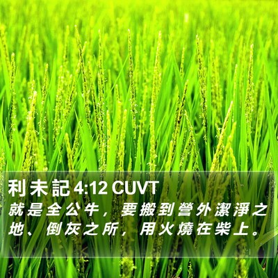 利 未 記 4:12 CUVT Bible Verse Image
