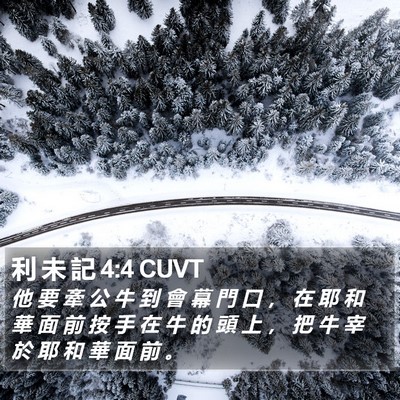 利 未 記 4:4 CUVT Bible Verse Image