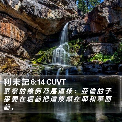 利 未 記 6:14 CUVT Bible Verse Image