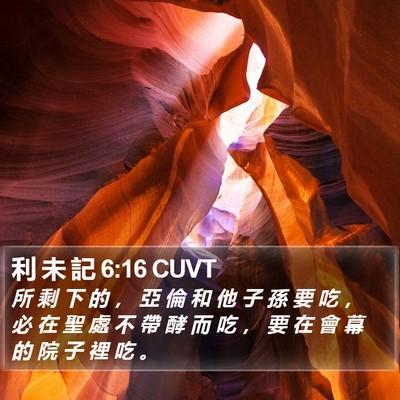 利 未 記 6:16 CUVT Bible Verse Image