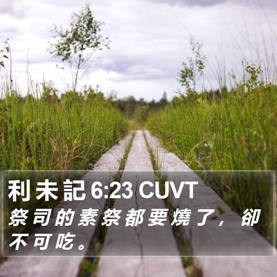 利 未 記 6:23 CUVT Bible Verse Image