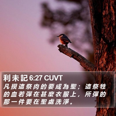 利 未 記 6:27 CUVT Bible Verse Image