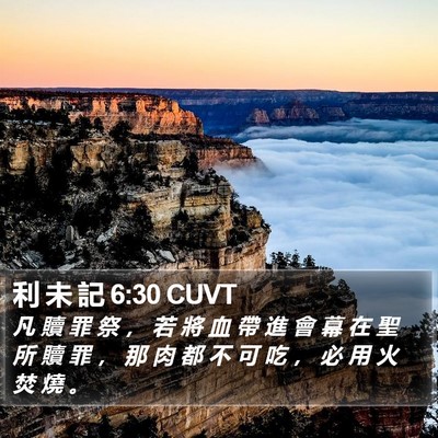 利 未 記 6:30 CUVT Bible Verse Image