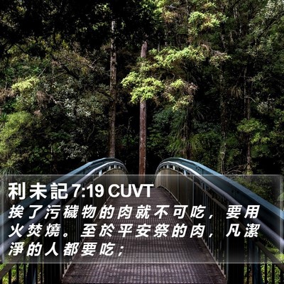 利 未 記 7:19 CUVT Bible Verse Image