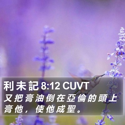 利 未 記 8:12 CUVT Bible Verse Image