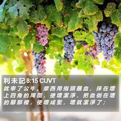 利 未 記 8:15 CUVT Bible Verse Image