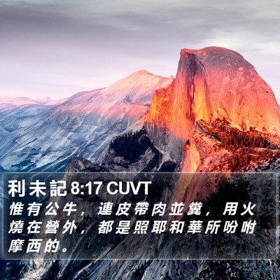 利 未 記 8:17 CUVT Bible Verse Image