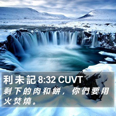 利 未 記 8:32 CUVT Bible Verse Image