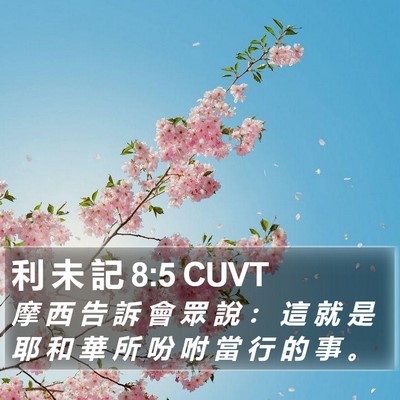利 未 記 8:5 CUVT Bible Verse Image