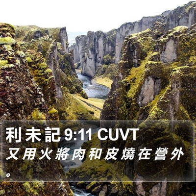 利 未 記 9:11 CUVT Bible Verse Image