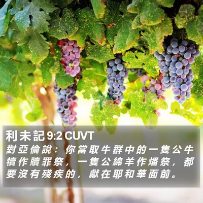 利 未 記 9:2 CUVT Bible Verse Image