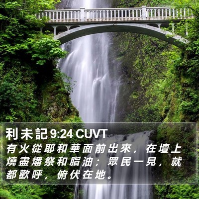 利 未 記 9:24 CUVT Bible Verse Image