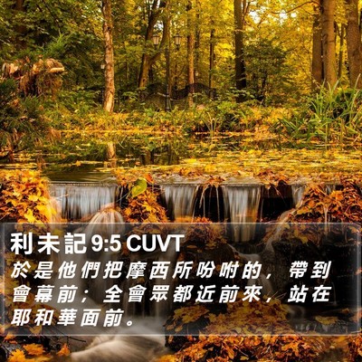 利 未 記 9:5 CUVT Bible Verse Image