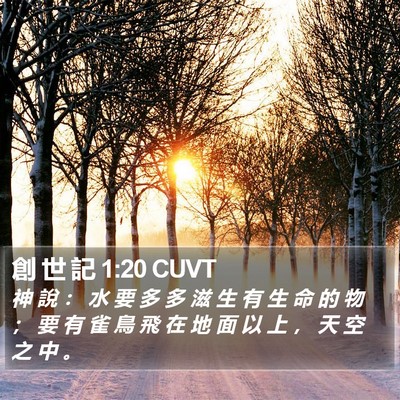 創 世 記 1:20 CUVT Bible Verse Image