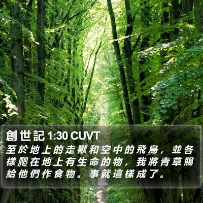 創 世 記 1:30 CUVT Bible Verse Image