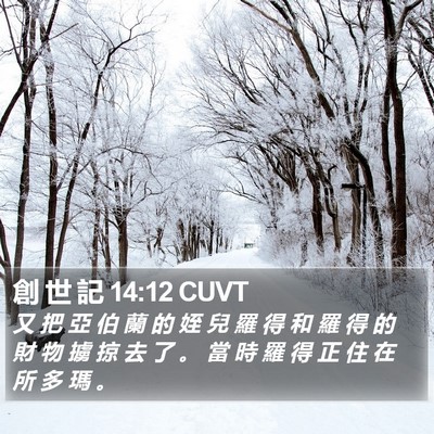 創 世 記 14:12 CUVT Bible Verse Image