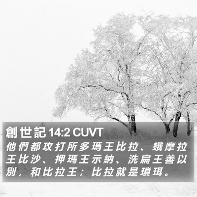 創 世 記 14:2 CUVT Bible Verse Image
